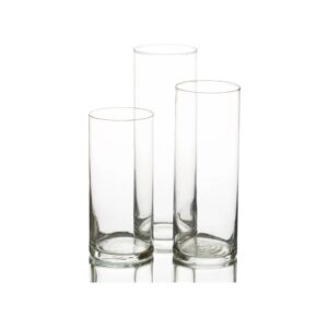 Cylinder Glass Vase rental by ILLUME