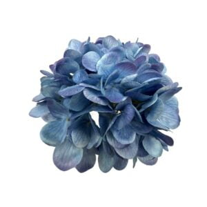 Blue/Purple Hydrangea Stem rental by ILLUME
