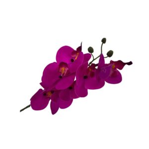 Purple Orchid Stem rental by ILLUME