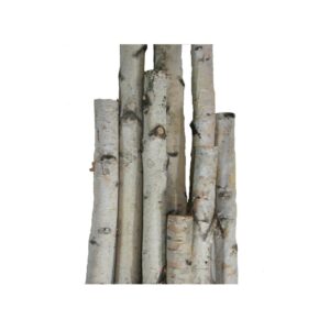 White Birch Poles by ILLUME