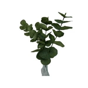 Green/Gray Eucalyptus Stems rental by ILLUME